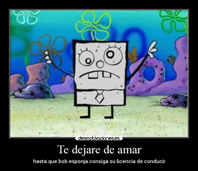 carteles bob esponja desmotivaciones