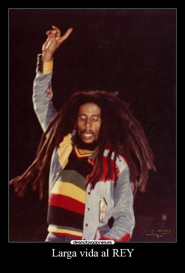 carteles vida comovos desmotivaciones