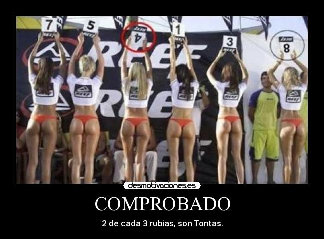 carteles rubias reef tontas desmotivaciones