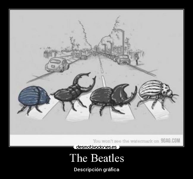 The Beatles - Descripción gráfica
