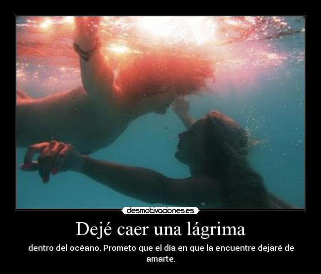 Dejé caer una lágrima -