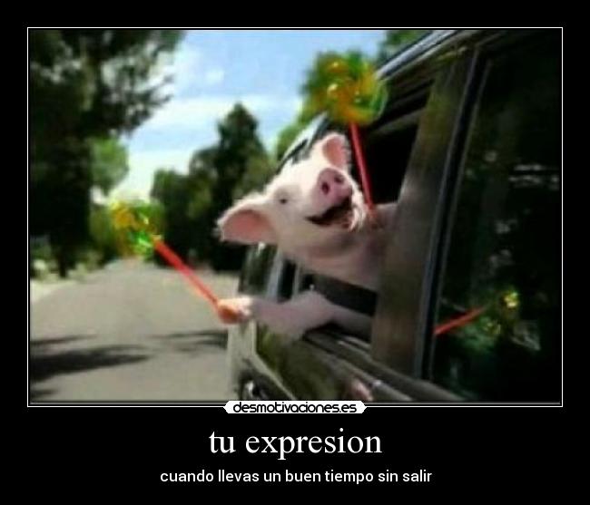 tu expresion - cuando llevas un buen tiempo sin salir