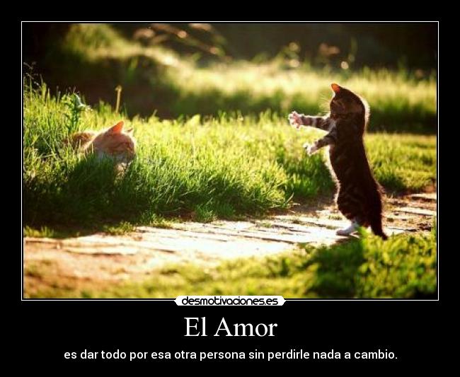 El Amor - 