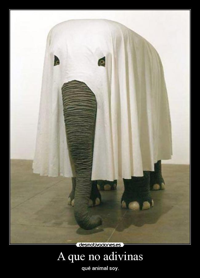 A que no adivinas - qué animal soy.
