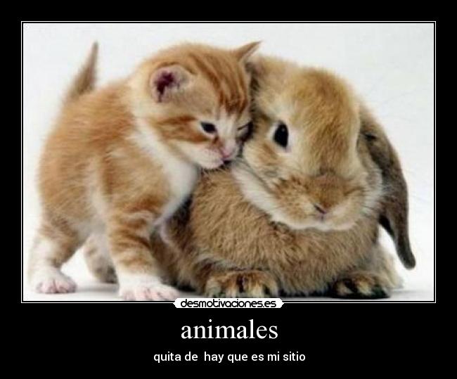 animales - quita de  hay que es mi sitio