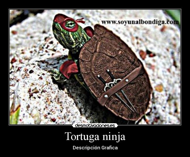 Tortuga ninja -