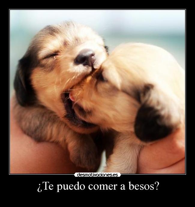 ¿Te puedo comer a besos? - 
