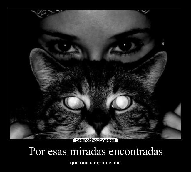 Por esas miradas encontradas - 