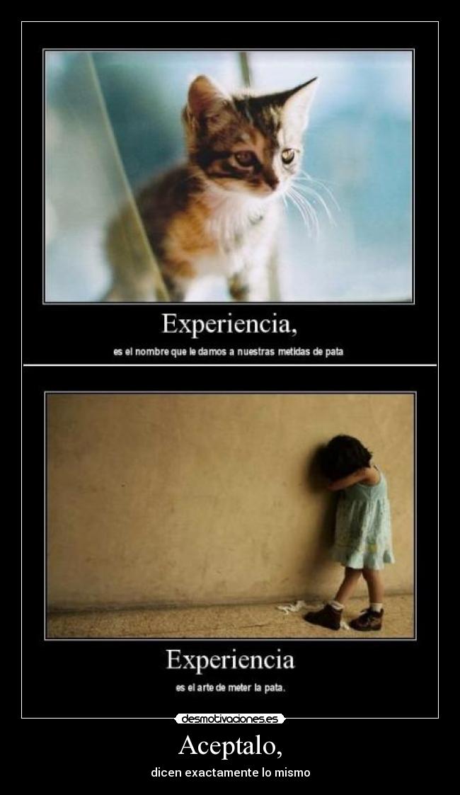 Aceptalo, - dicen exactamente lo mismo