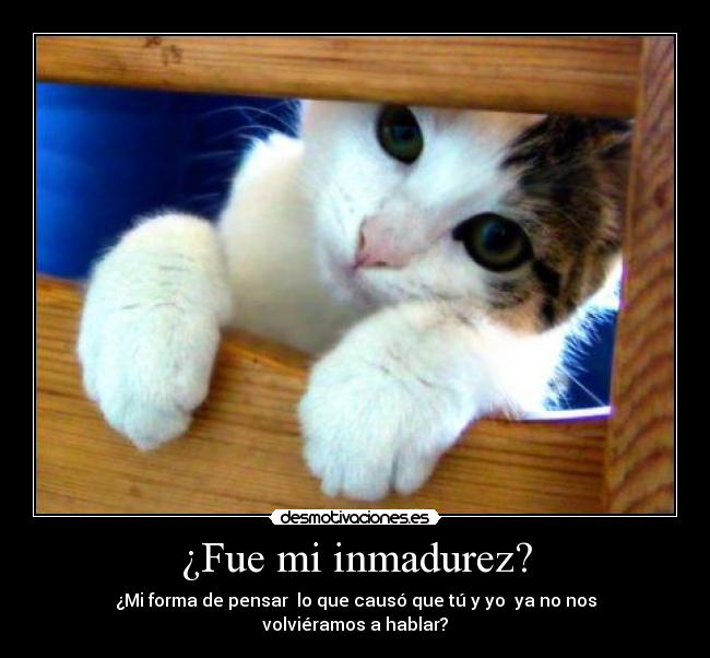 ¿Fue mi inmadurez? - ¿Mi forma de pensar lo que causó que tú y yo ya no nos volviéramos a hablar?