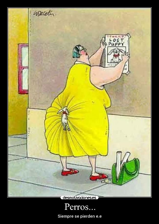 Perros... - 