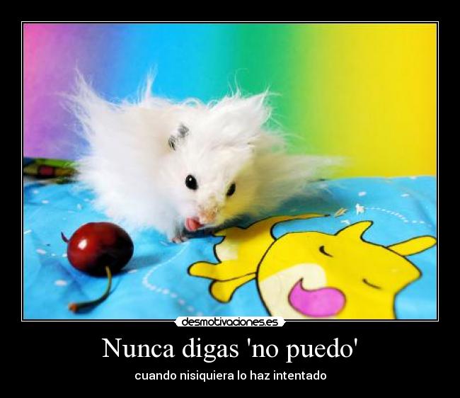 Nunca digas no puedo -