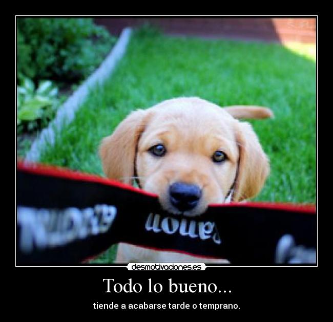 Todo lo bueno... - tiende a acabarse tarde o temprano.