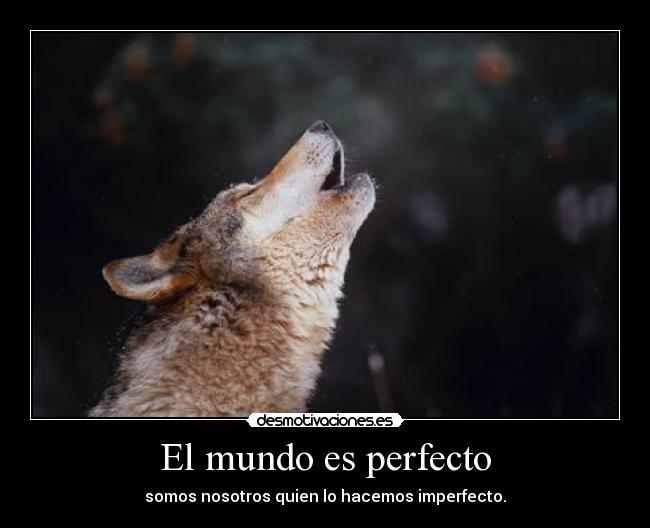 El mundo es perfecto - somos nosotros quien lo hacemos imperfecto.