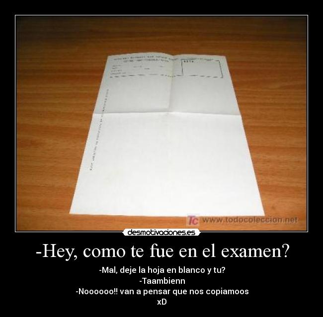 -Hey, como te fue en el examen? - 