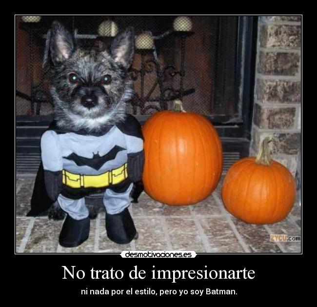 carteles moxis desmotivaciones