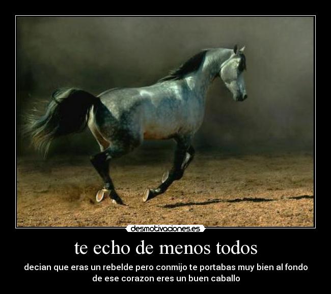 te echo de menos todos -