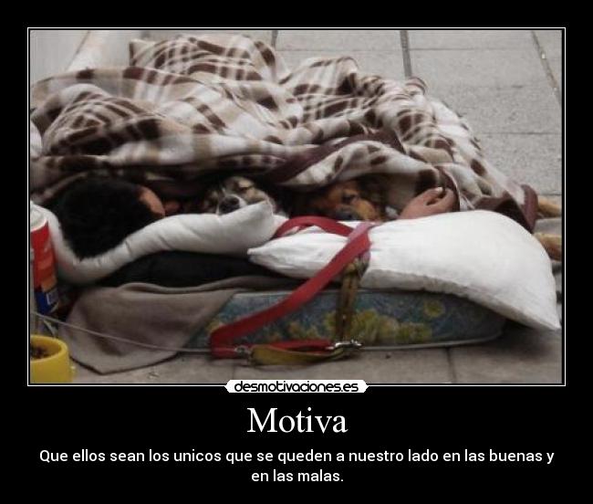 Motiva - 