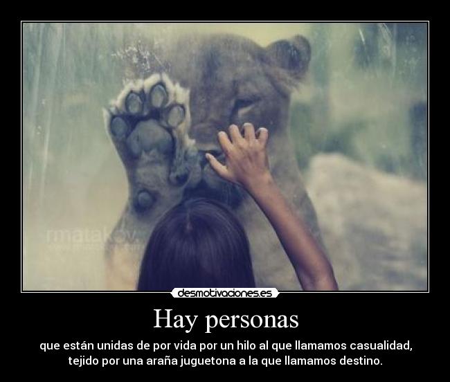 carteles palomitademaiz querido moco verde andante con bolsa americana cabeza desmotivaciones