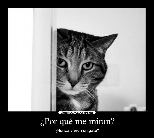 ¿Por qué me miran? -