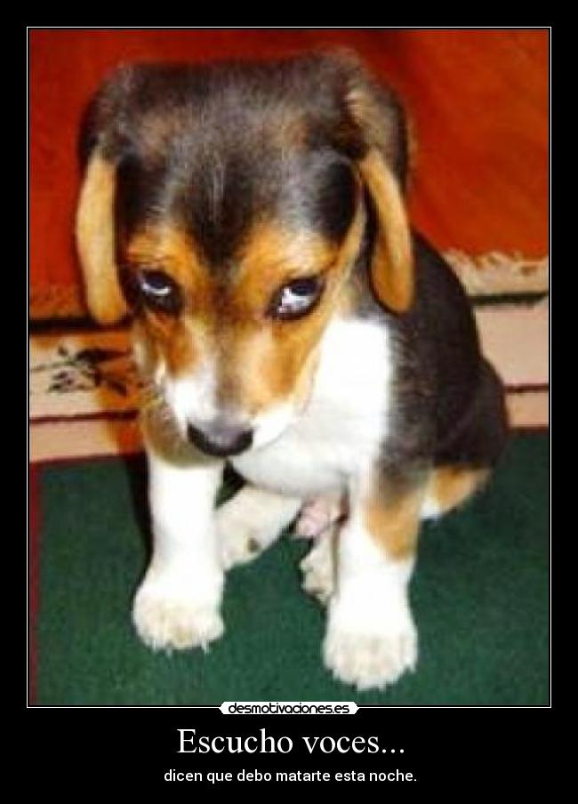Escucho voces... - 