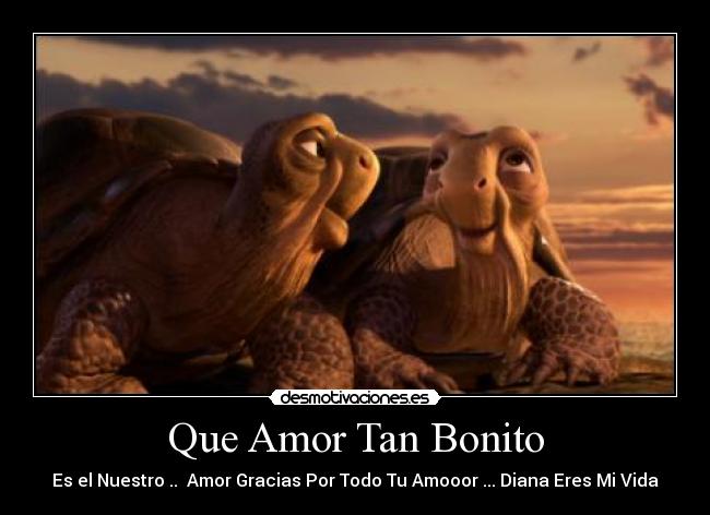 Que Amor Tan Bonito - 