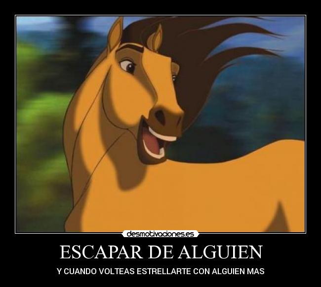 ESCAPAR DE ALGUIEN - 
