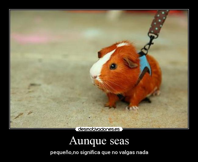 Aunque seas - pequeño,no significa que no valgas nada