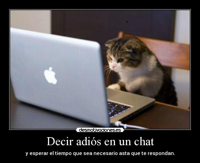 Decir adiós en un chat - y esperar el tiempo que sea necesario asta que te respondan.