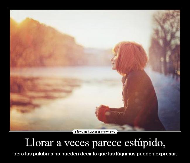 Llorar a veces parece estúpido, - pero las palabras no pueden decir lo que las lágrimas pueden expresar.