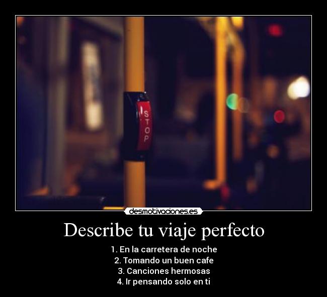 Describe tu viaje perfecto -
