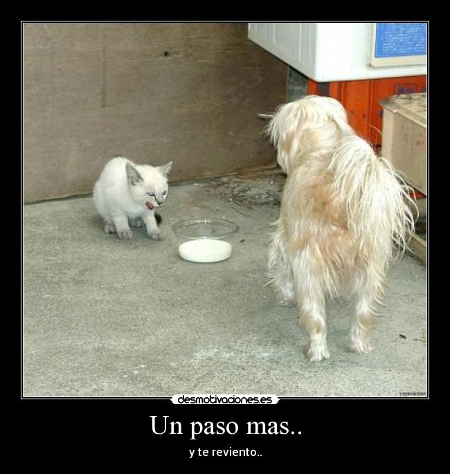 Un paso mas.. - y te reviento..