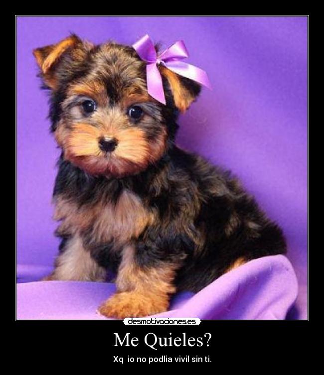 carteles jonitakin desmotivaciones