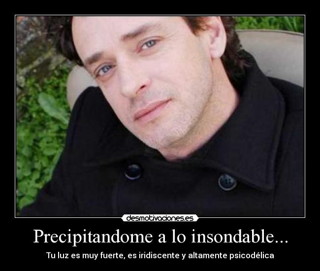 carteles amy bordolina desmotivaciones