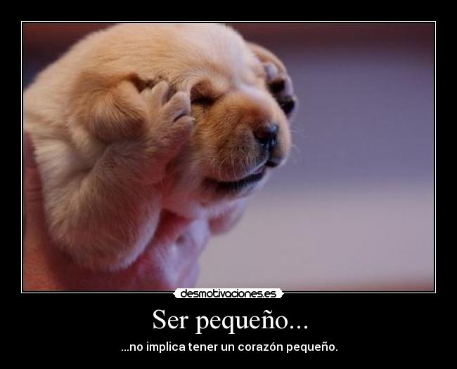 Ser pequeño... -
