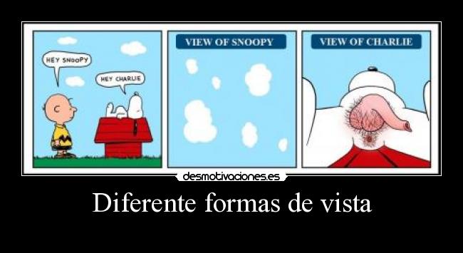 Diferente formas de vista -