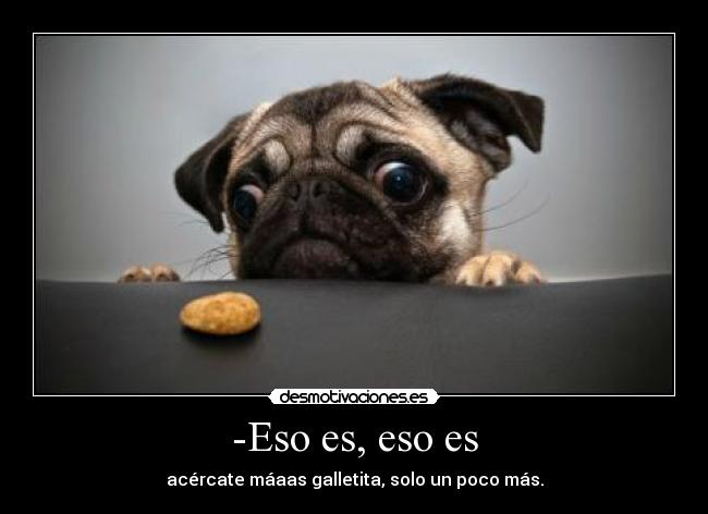 -Eso es, eso es -