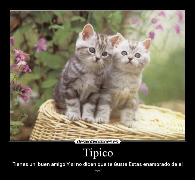 Tipico - Tienes un buen amigo Y si no dicen que te Gusta Estas enamorado de el ¬¬
