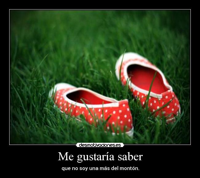 Me gustaría saber - 