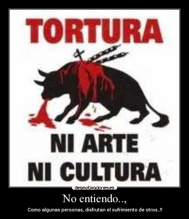 No entiendo.., -