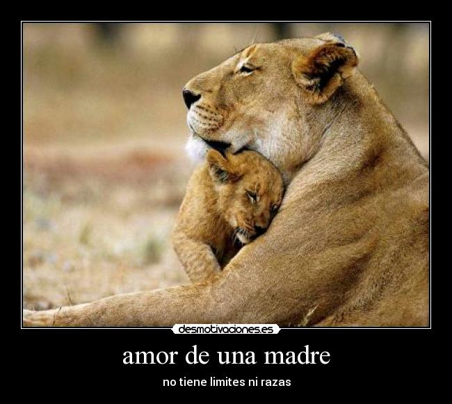 amor de una madre - no tiene limites ni razas