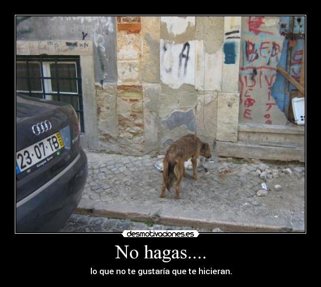 No hagas.... - 