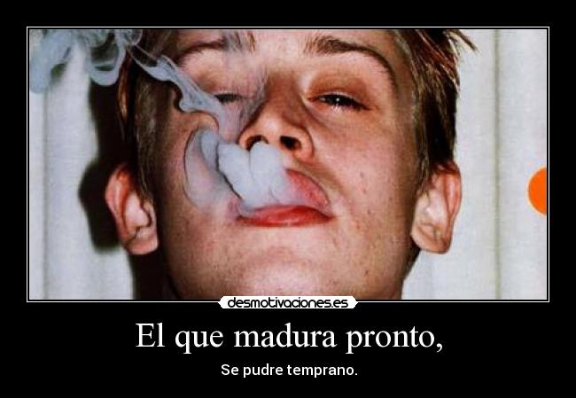 El que madura pronto, -