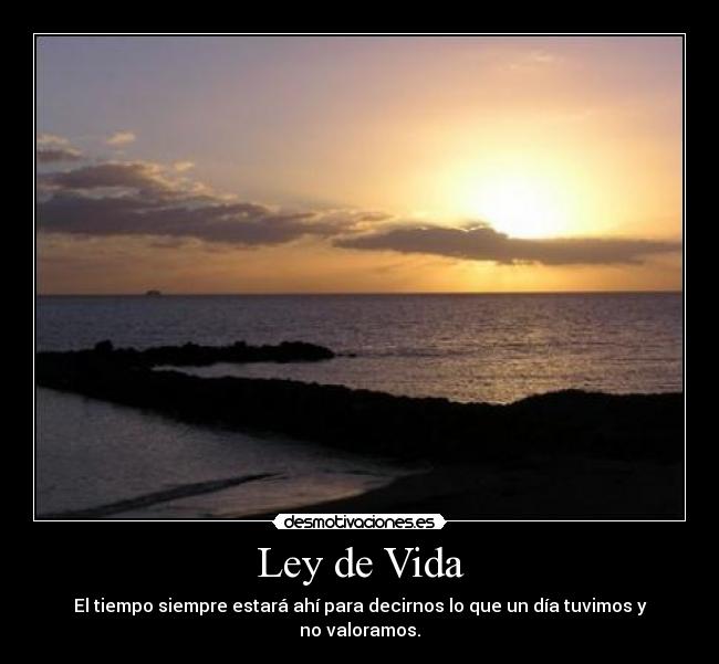 Ley de Vida - 