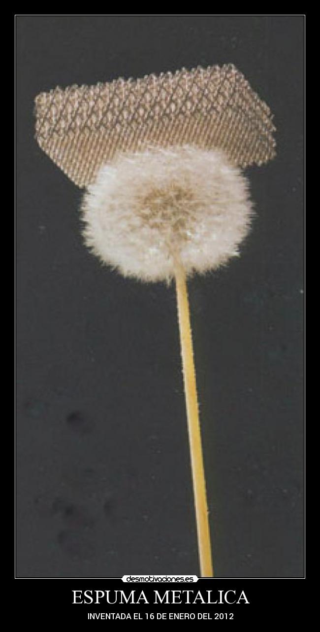ESPUMA METALICA - INVENTADA EL 16 DE ENERO DEL 2012