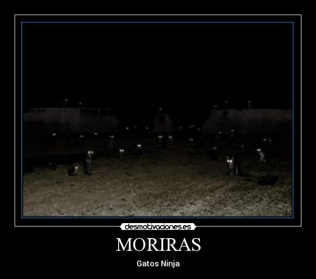 MORIRAS - Gatos Ninja