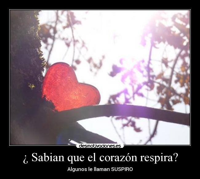 carteles corazon ano desmotivaciones