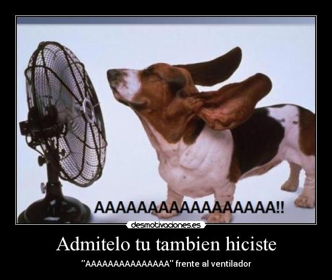 Admitelo tu tambien hiciste - 