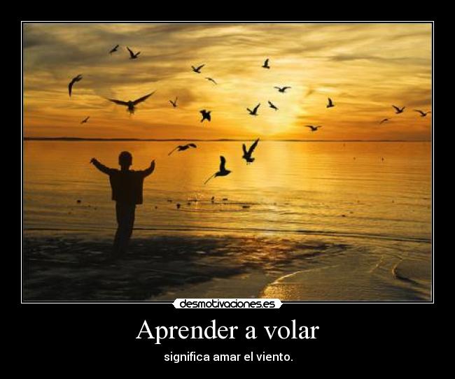 Aprender a volar - significa amar el viento.