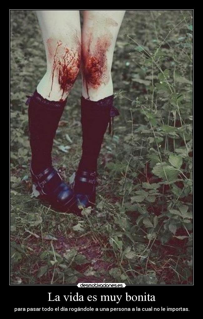 La vida es muy bonita -
